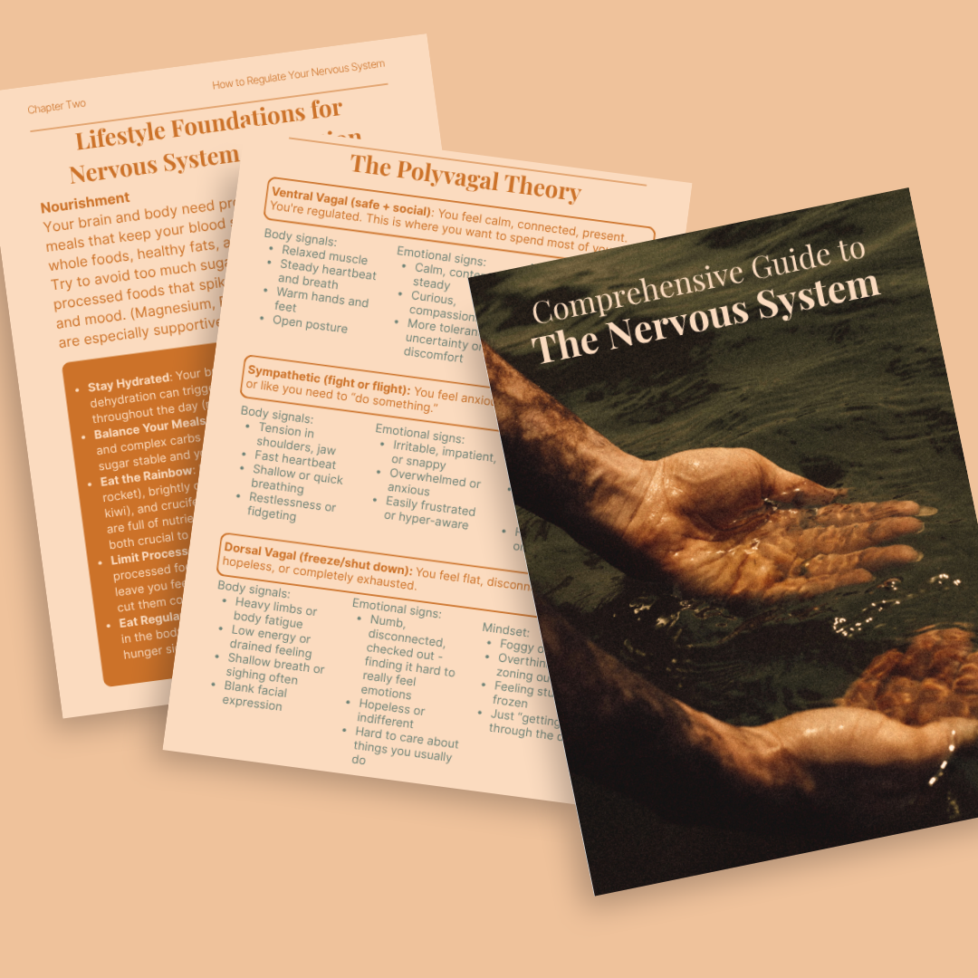Comprehensive Guide to The Nervous System